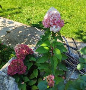 IMG_20260927_225039.jpg
