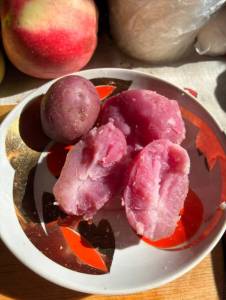 IMG_7798.jpeg