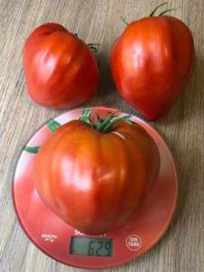 IMG_9168.jpeg