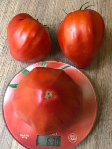 IMG_9169.jpeg