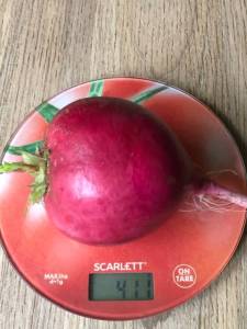 IMG_9170.jpeg