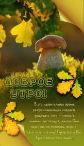 a6a53d782b4288a0430f4a22a7fdf229.jpg