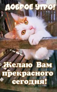 eb5d61a66e7a7239e7d39dcd79d828e3.thumb.jpg.190780db408afd92890627789564a0ff.jpg