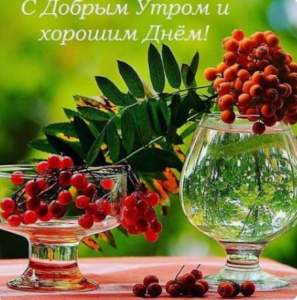 image.thumb.png.0c85ebcb47e7b25db8185bf91dbbbd18.png
