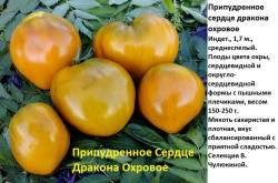 Припудренное сердце дракона охровое.jpg