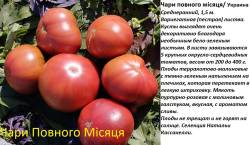 Чари Повного Місяця.jpg