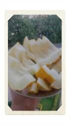 20260912_195450-COLLAGE.jpg