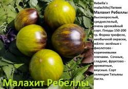 Малахит Ребеллы.jpg