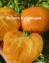 IMG_1209.jpeg