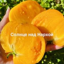 IMG_1211.jpeg