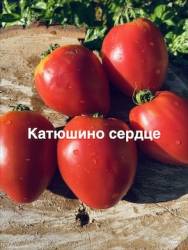 IMG_1215.jpeg