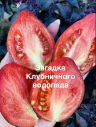 IMG_1232.jpeg