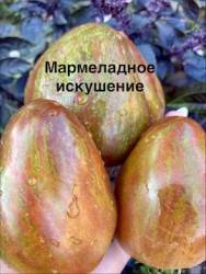 IMG_1233.jpeg