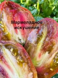 IMG_1234.jpeg