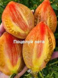 IMG_1237.jpeg