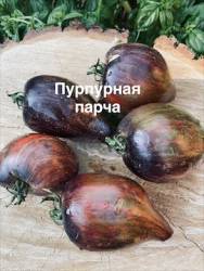 IMG_1238.jpeg