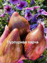 IMG_1239.jpeg