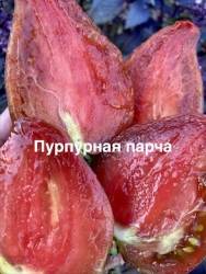 IMG_1240.jpeg