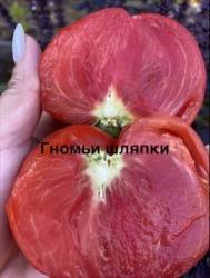 IMG_1245.jpeg