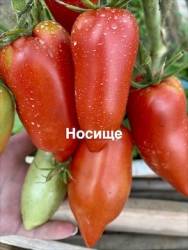 IMG_1288.jpeg