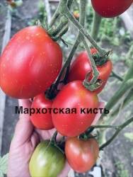 IMG_1291.jpeg