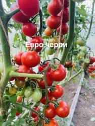 IMG_1292.jpeg