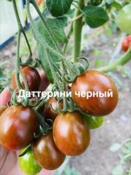 IMG_1293.jpeg