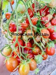 IMG_1294.jpeg
