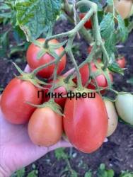 IMG_1295.jpeg