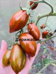 IMG_1296.jpeg