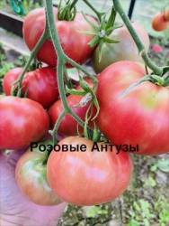 IMG_1297.jpeg