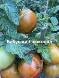 IMG_1299.jpeg