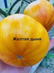 IMG_1302.jpeg