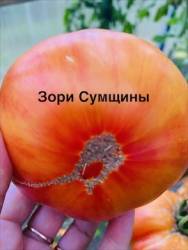 IMG_1303.jpeg