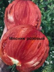 IMG_1318.jpeg