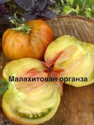 IMG_1319.jpeg