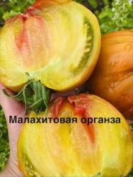 IMG_1320.jpeg