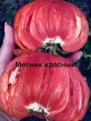 IMG_1324.jpeg