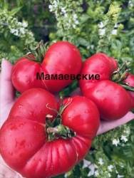 IMG_1325.jpeg