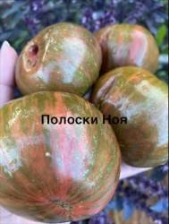 IMG_1329.jpeg