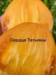 IMG_1356.jpeg