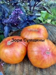 IMG_1357.jpeg