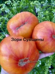 IMG_1359.jpeg
