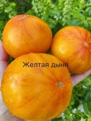 IMG_1361.jpeg