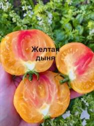 IMG_1362.jpeg
