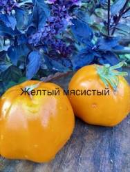 IMG_1363.jpeg