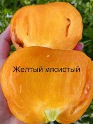 IMG_1364.jpeg