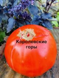 IMG_1365.jpeg