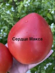 IMG_1367.jpeg