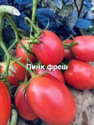 IMG_1395.jpeg